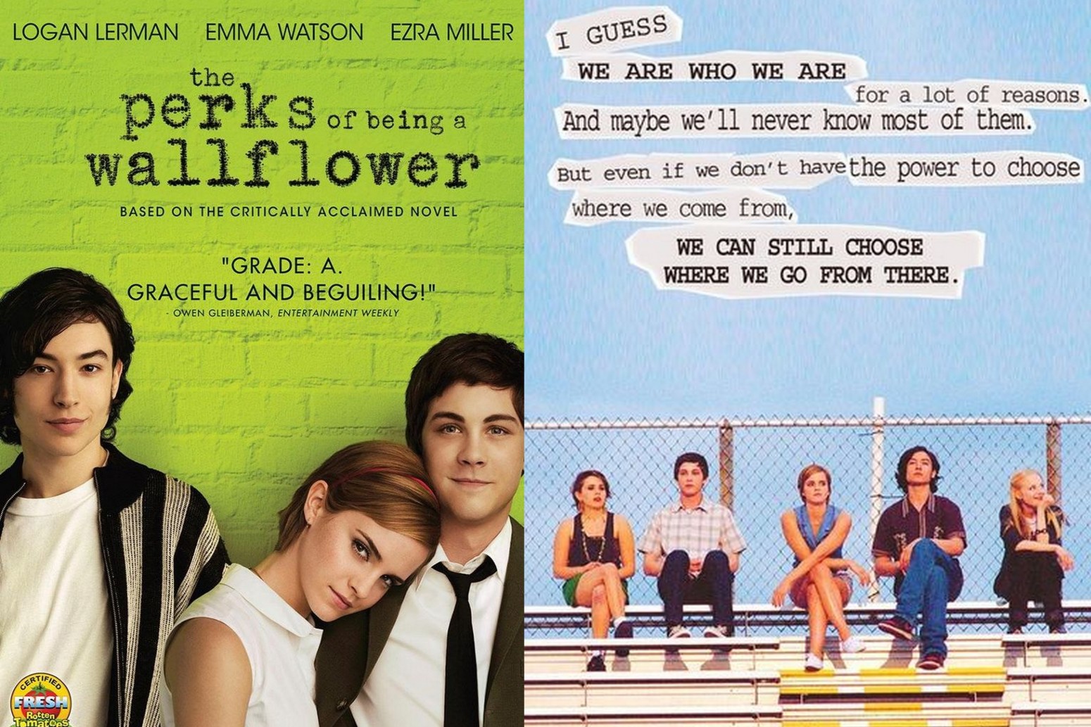12. perks of being a wallflower.